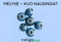 Mėlynė — naudinga uoga