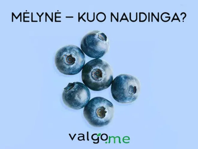 Mėlynė — naudinga uoga